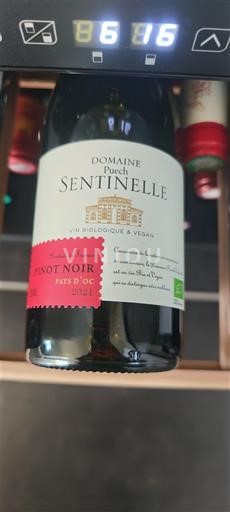 Languedoc e Roussillon Pays d'oc Domaine Puech Sentinelle 2021