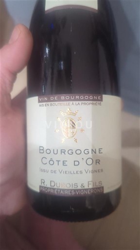 Burgundy Burgundy Côte d'Or R. Dubois & Fils Issu de Vieilles Vignes 2023