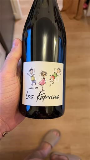 Languedoc Corbières Domaine Les 2 Ânes Les Copains 2023