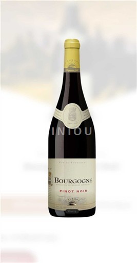 Burgundi Bourgogne L'Aurore Pinot Noir 2023
