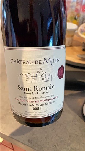 Bourgogne Saint-Romain Château Melin Sous Le Château 2023