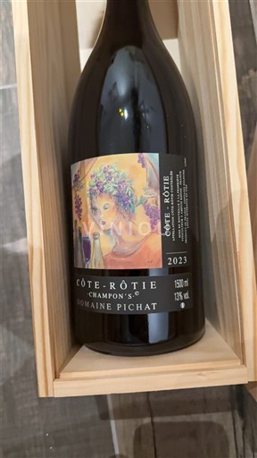 Vallée du Rhône Côte-rôtie Domaine Pichat Champons 2023