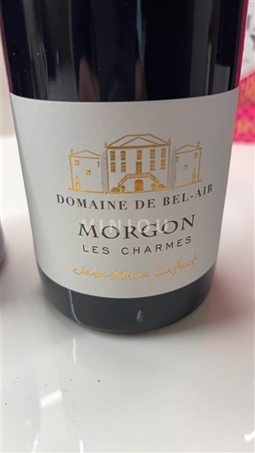 Beaujolais Morgon Domaine Bel-Air Les Charmes Neročník