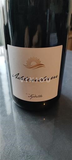 Loiren laakso Muscadet-sèvre-et-maine Domaine L'Épaille Addendum Ei vuosikertaa