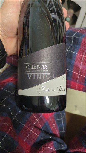 Beaujolais Chénas Antoine Vidal 2021