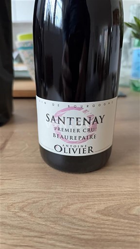 Burgundy Santenay Premier Cru Antoine Olivier Beaurepaire 2022