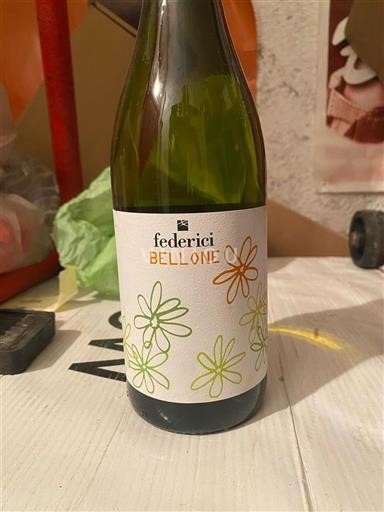 Lazio Federici Bellone 2024