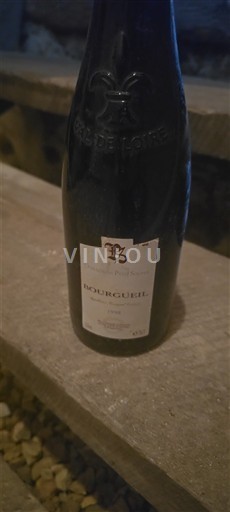 Loiren laakso Bourgueil Pierre Sourdais Les Bouquets Ei vuosikertaa