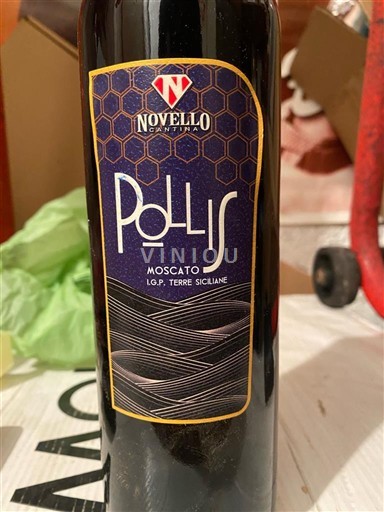 Wines of Sicily Unspecified Cantina Novello Pollis 2024