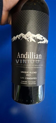 Mendoza Not Specified Andillian Unique Blend 2021