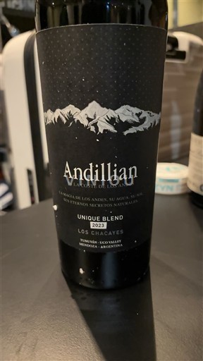 Mendoza Non specificato Andillian Unique Blend 2021