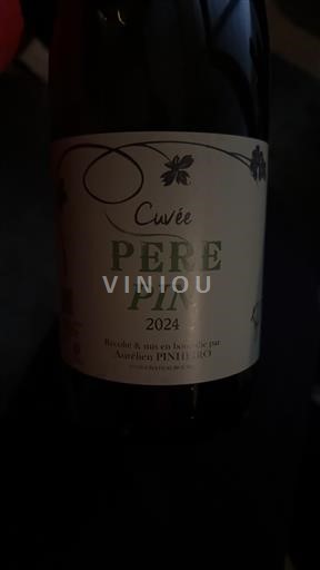Rhône Valley Château Bourbier Père Pin 2024