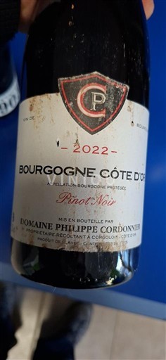Burgundy Burgundy Côte d'Or Domaine Philippe Cordonnier 2022