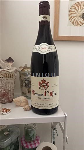 Burgundija Ni doloceno Premier Cru Jean-François Gay et Fils Les Teurons 2018