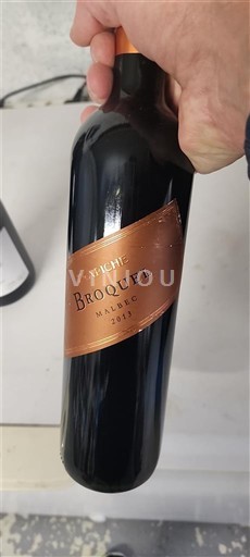 Mendoza Trapiche Broquel 2013