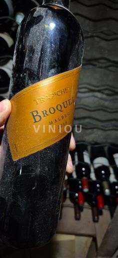 Mendoza Trapiche Broquel 2013