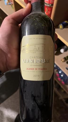 Bordeaux Lalande-de-Pomerol Château Fleur de Jean Gué Les Raminants 2019