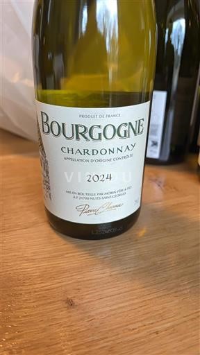 Burgundy Pierre Morey 2024