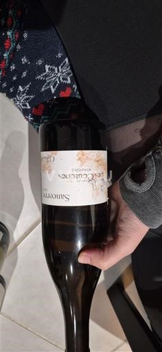 Loiren laakso Sancerre Daniel Chotard Les coutones 2022