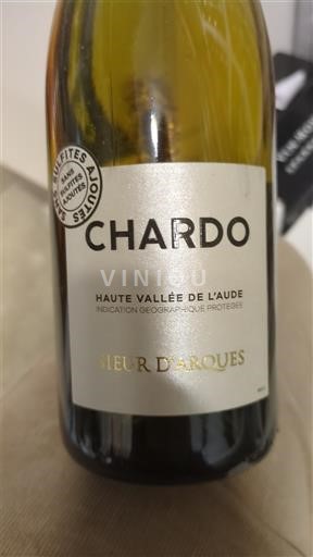 Weine Blanc sec Chardo Sieur d'Arques 2022 Frankreich Languedoc und Roussillon Hoch Tal der Aude IGP