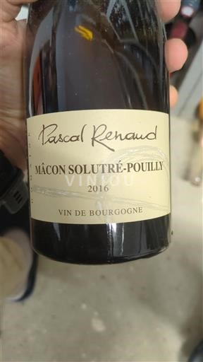 Burgundi Mâcon ja Mâcon-kylät Pascal Renaud 2016