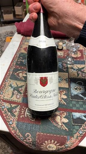 Borgoña Hautes Côtes de Nuits Emmanuel Senelet 2020