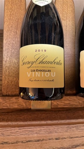 Borgogna Gevrey-Chambertin Georges Chicotot et Compagnie Les Evocelles 2019