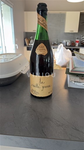 Beaujolais Domaine Jean-Paul Brun La Vieille Prune Senza annata