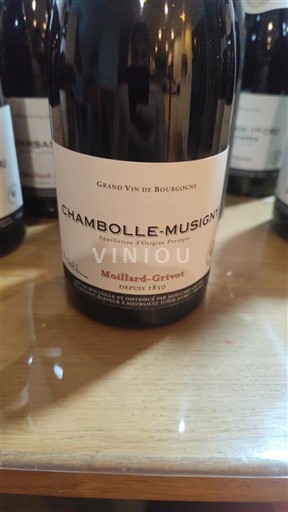 Bourgondië Chambolle-Musigny Moillard-Grivot Niet-geïntegreerd