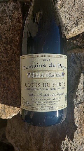 Loiren laakso Côtes-du-forez Domaine Poyet des Vieux Ceps 2024