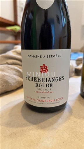 Champagne Coteaux Champenois Domaine A. Bergère Fèrebrianges Rouge 2021