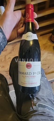 Burgundy Not Specified Premier Cru Domaine Lejeune Les Poutures 2017