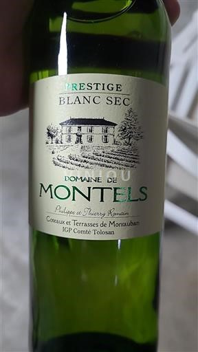 Wijnen Blanc sec Prestige Blanc Sec Domaine Montels Non millésimé Frankrijk Zuidwest-Frankrijk Comté Tolosan IGP