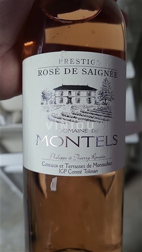 Zuidwest-Frankrijk Comté Tolosan Domaine Montels Prestige Rosé de Saignée Niet-geïntegreerd