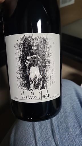 Languedoc in Roussillon Katalonske obale Jeff Carrel Vieille Mule 2020