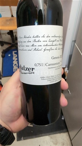 Baja Austria Carnuntum DAC Platzer Genesis 2022