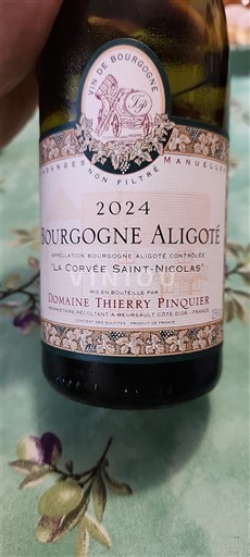 Borgoña Borgoña-Aligoté Domaine Thierry Pinquier La Corvée Saint-Nicolas 2024