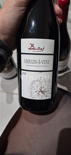Beaujolais Moulin-à-vent Daniel Bulliat 2023