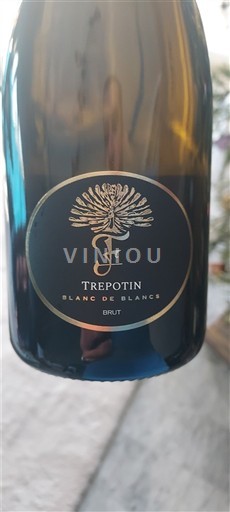 Provenza Côtes-de-Provence Trepotin Blanc de Blancs Senza annata