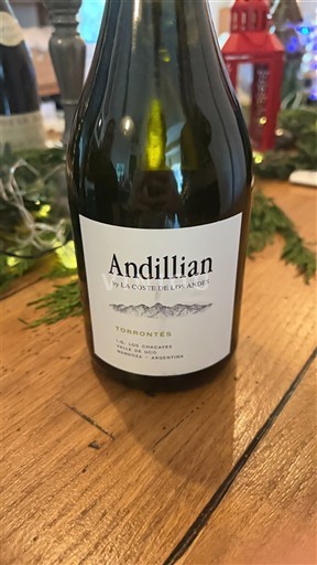 Mendoza Valle de Uco Andillian by La Coste de Los Andes 2024