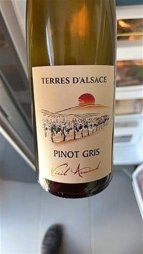 Vina Blanc sec Vieil Ammad Terres d'Alsace 2023 Francija Alzacija Ni doloceno AOC