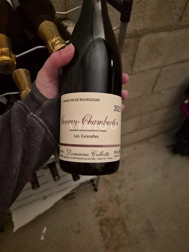 Burgundi Gevrey-Chambertin Domaine Collotte Les Evocelles 2021