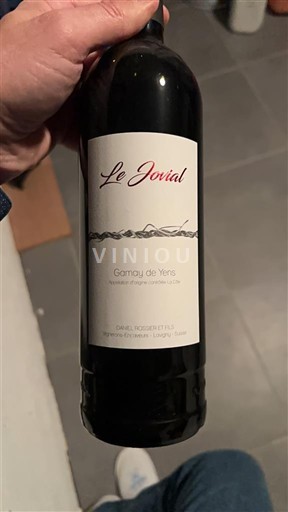 Beaujolais Non specificato Domaine Romy Le Jovial 2020
