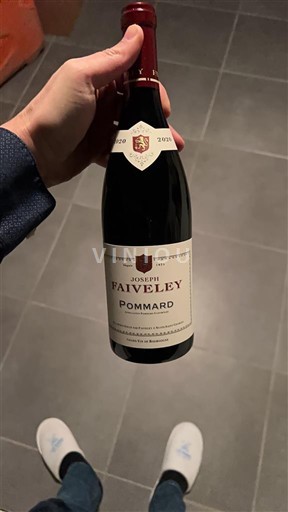 Bourgogne Pommard Joseph Faiveley 2020