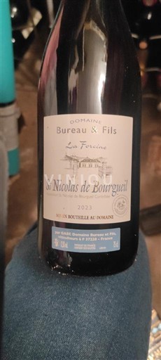 Valle del Loira Saint-Nicolas-De-Bourgueil Domaine Bureau & Fils Les Férices 2022