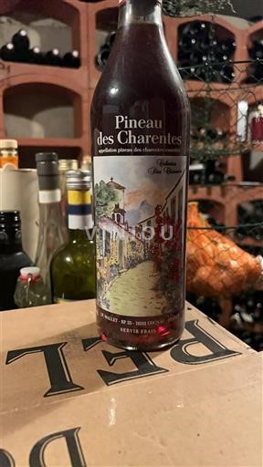 Poitou-Charentes Pineau des Charentes Château Bois Chaudron Niet-geïntegreerd