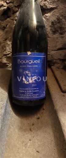 Valle della Loira Bourgueil Marie et Aude Bouquier 2015