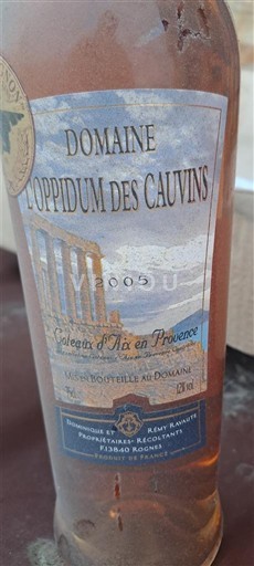 Provence Coteaux-d'aix-en-provence Domaine Loppidum des Cauvins 2005