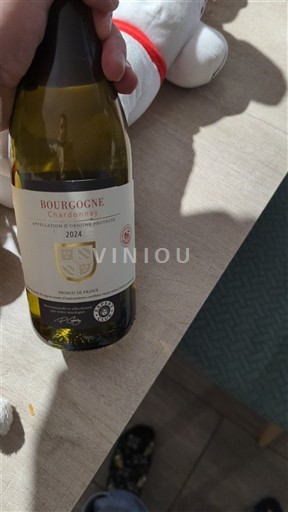 Ельзас Dambach 2024