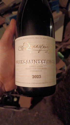 Burgundi Nuits-saint-georges Dupasquier 2023